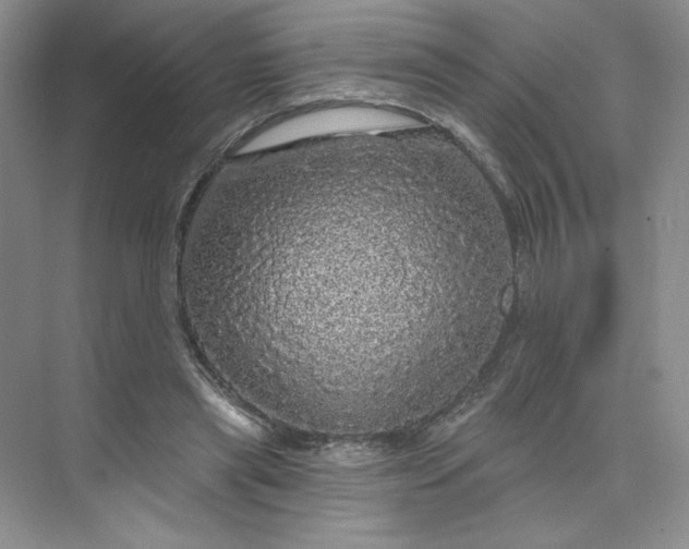 X0000075900445200609291736