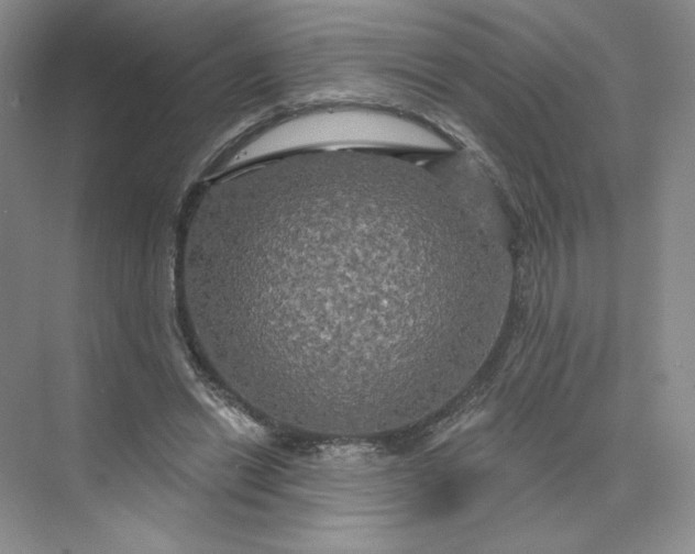 X0000075900446200609291736