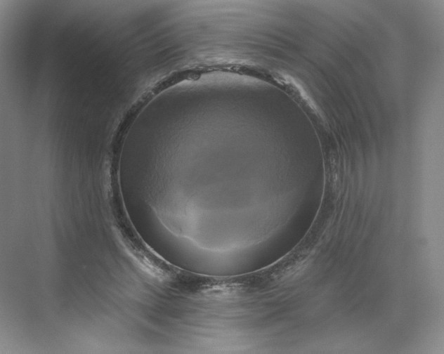 X0000075900447200609291736