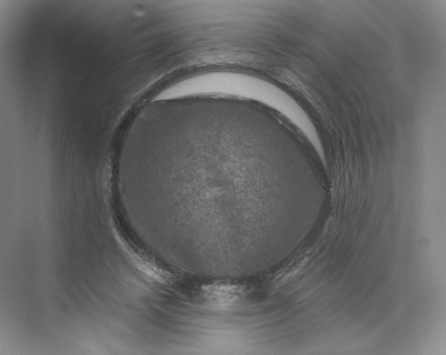 X0000075900448200609291736