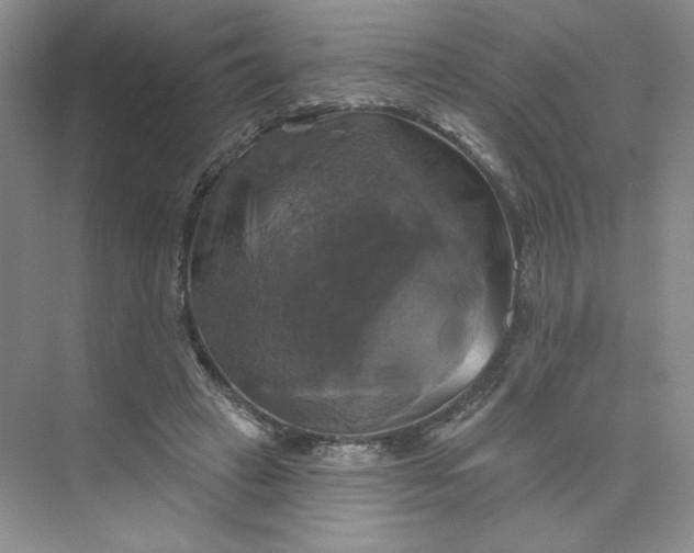 X0000075900449200609291736