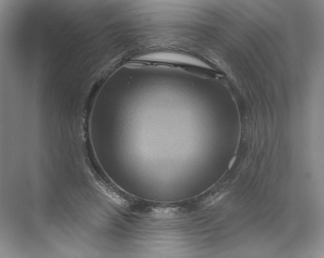 X0000075900450200609291736