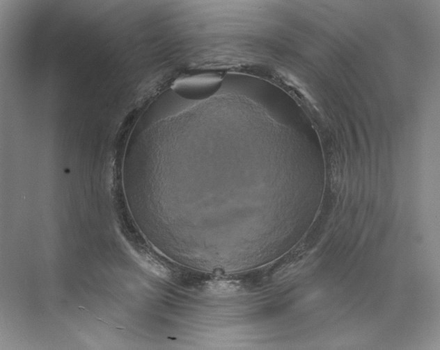 X0000075900451200609291736