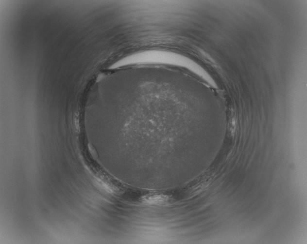 X0000075900452200609291736