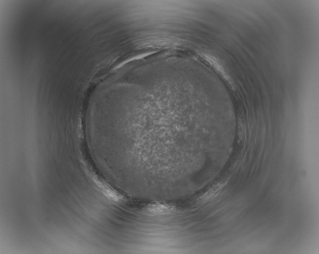 X0000075900453200609291736