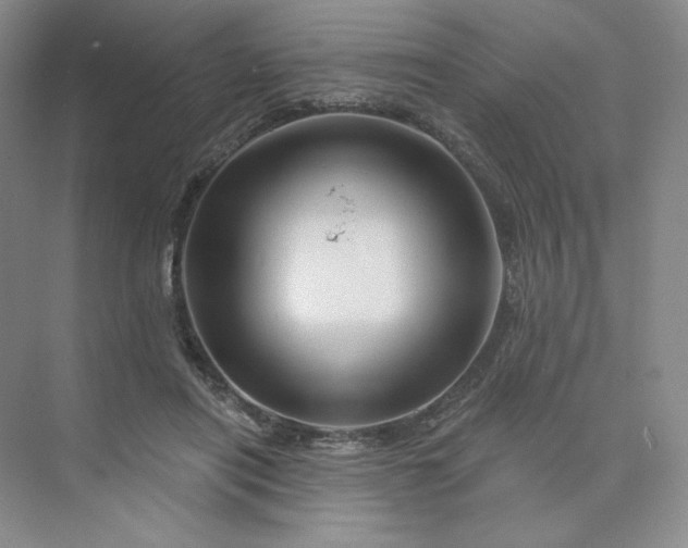 X0000075900454200609291736