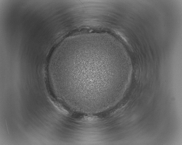 X0000075900455200609291736