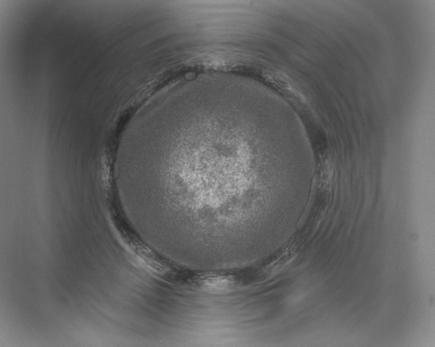 X0000075900456200609291736