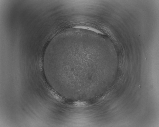 X0000075900457200609291736