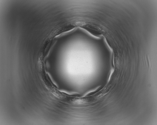 X0000075900460200609291736