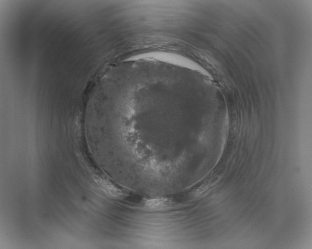 X0000075900461200609291736