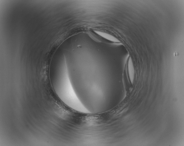 X0000075900462200609291736