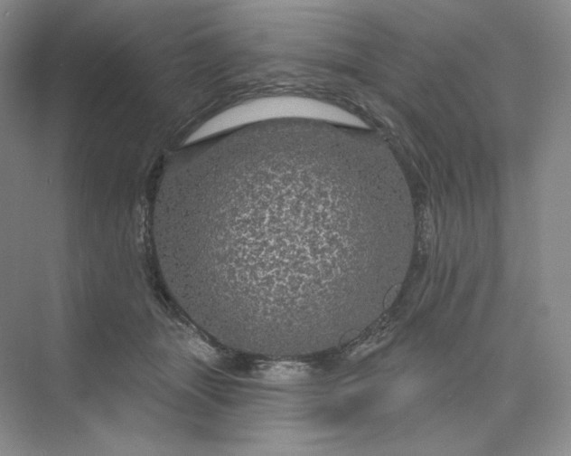 X0000075900463200609291736