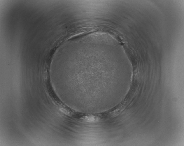 X0000075900464200609291736