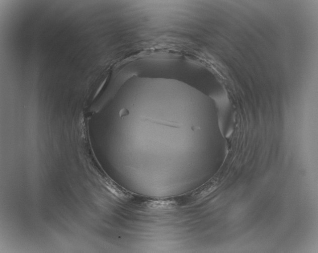 X0000075900465200609291736