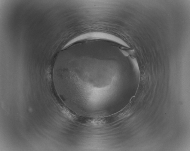 X0000075900466200609291736