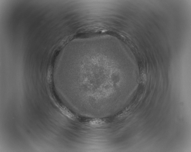 X0000075900468200609291736