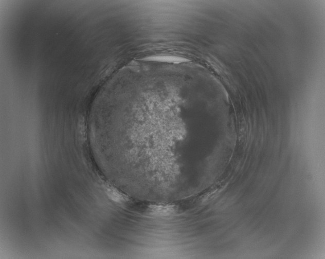 X0000075900469200609291736