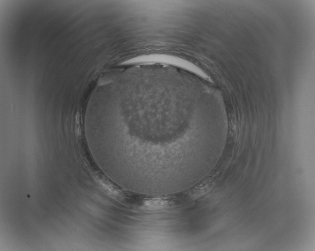 X0000075900470200609291736