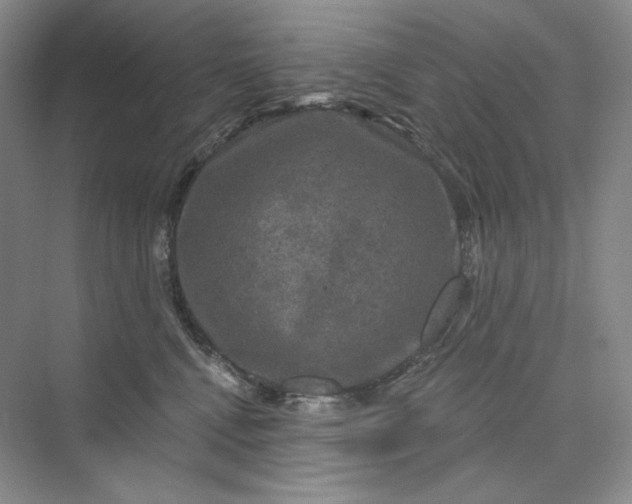 X0000075900472200609291736