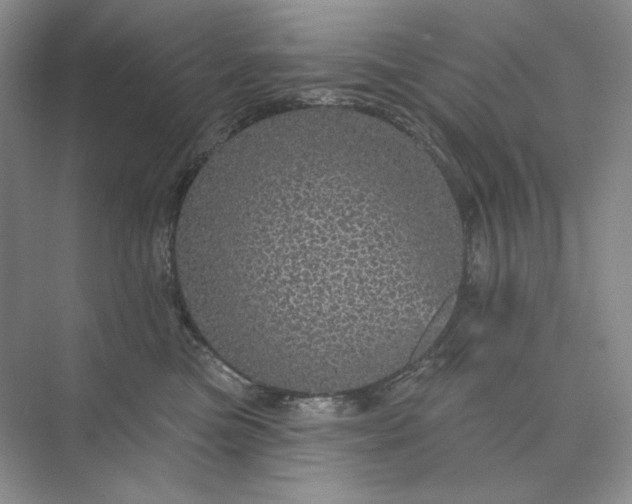 X0000075900473200609291736