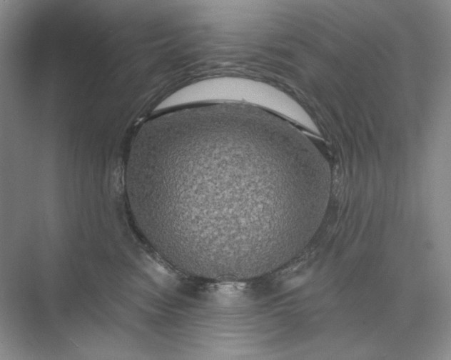 X0000075900474200609291736