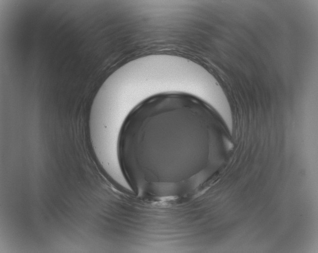 X0000075900475200609291736