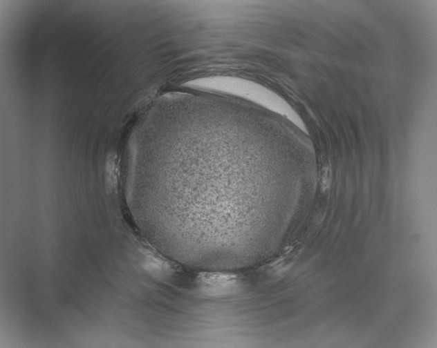 X0000075900476200609291736