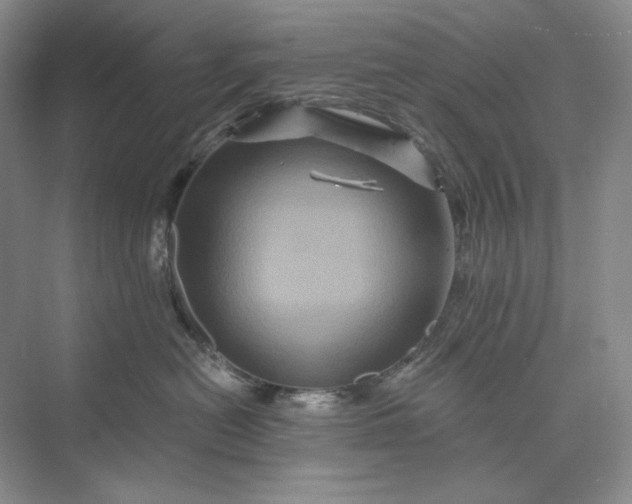 X0000075900478200609291737