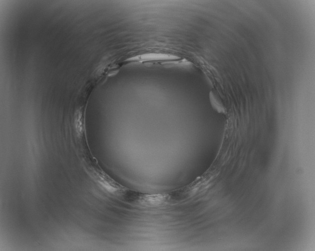 X0000075900479200609291737