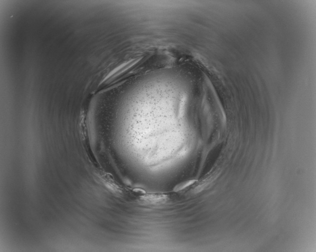 X0000075900480200609291737