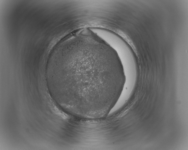 X0000075900481200609291736