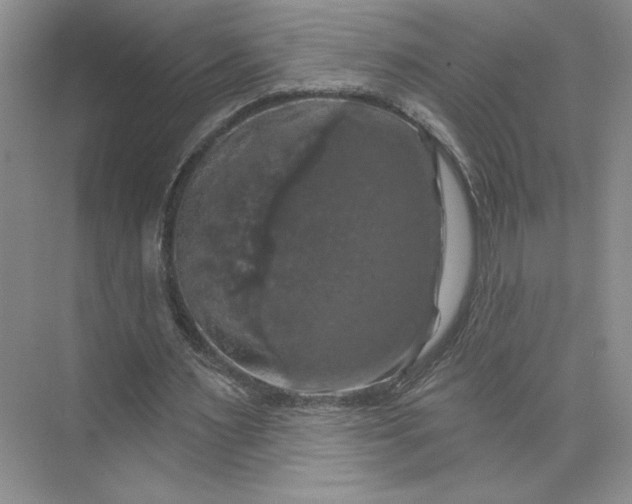 X0000075900483200609291736