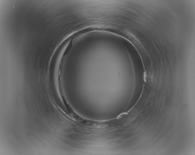 X0000075900484200609291736