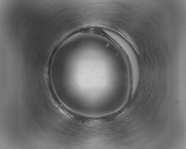 X0000075900485200609291736