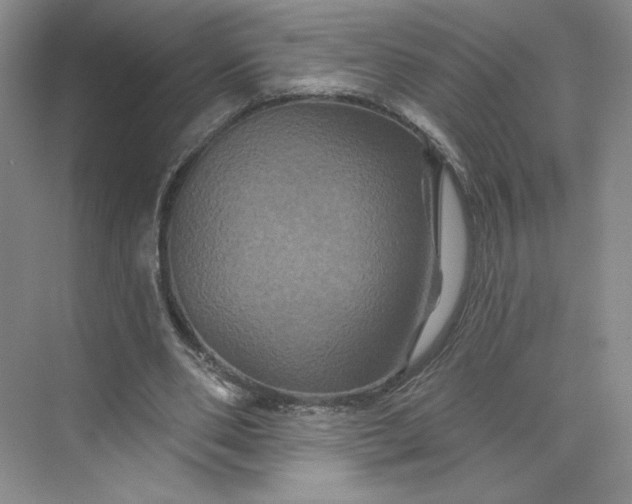 X0000075900486200609291736