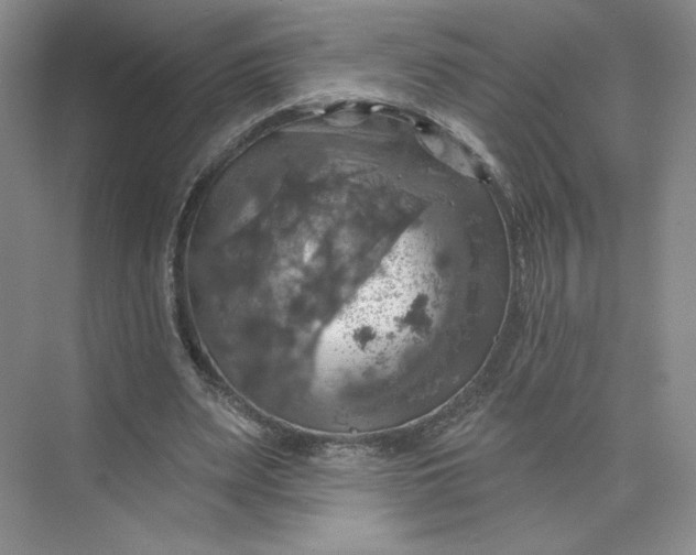 X0000075900487200609291736