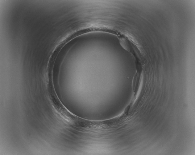 X0000075900488200609291736