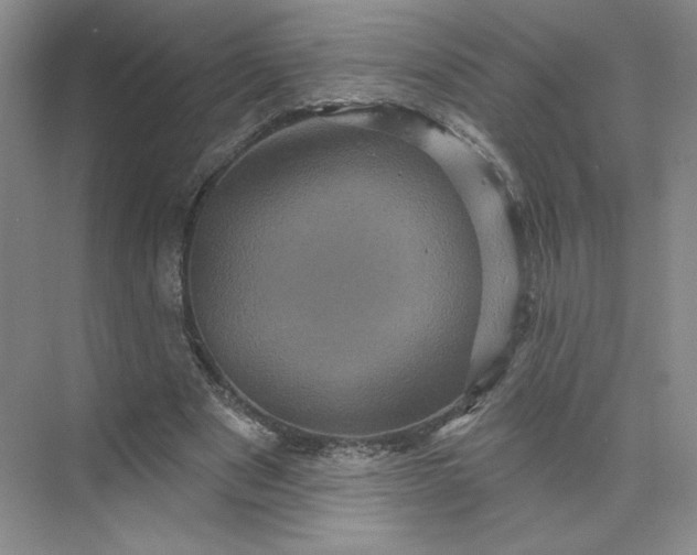 X0000075900489200609291736