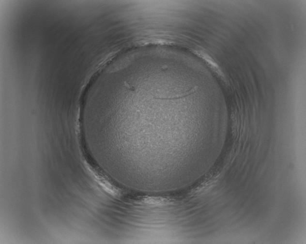 X0000075900490200609291736