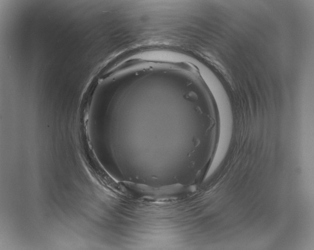 X0000075900492200609291736