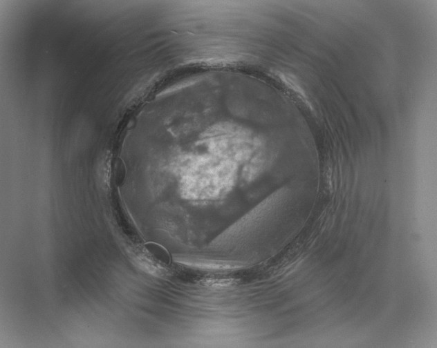 X0000075900495200609291735