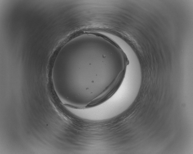 X0000075900496200609291735