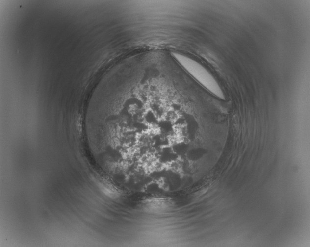 X0000075900499200609291735