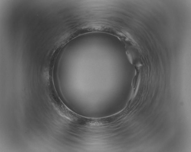 X0000075900500200609291735