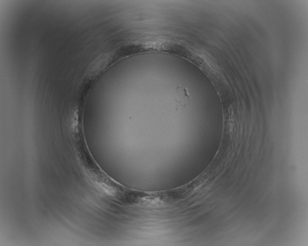 X0000075900502200609291735