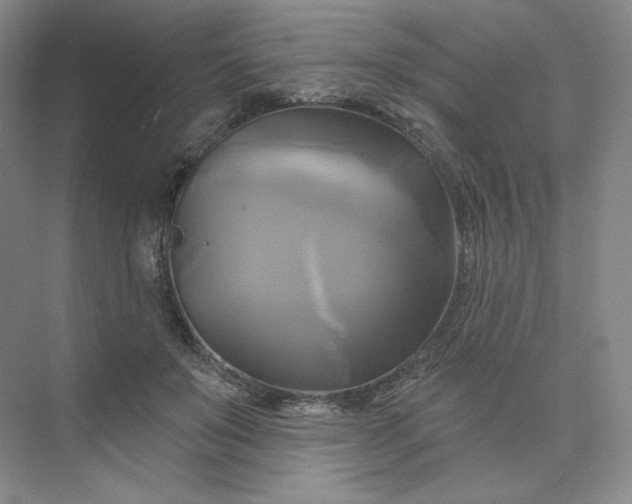 X0000075900503200609291735