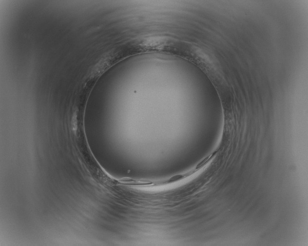 X0000075900504200609291735