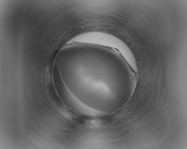 X0000075900506200609291735