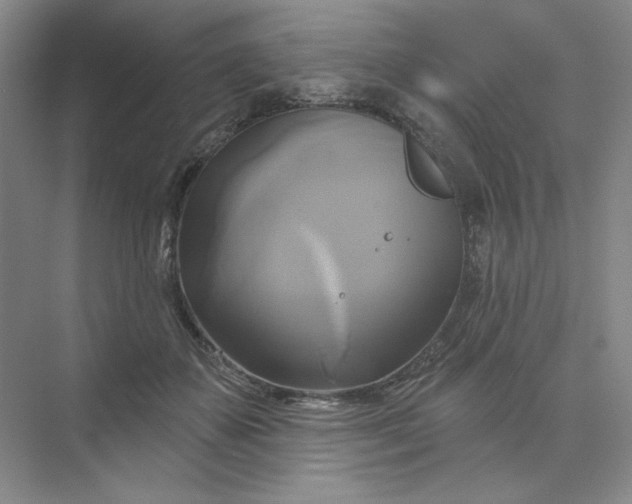 X0000075900507200609291735